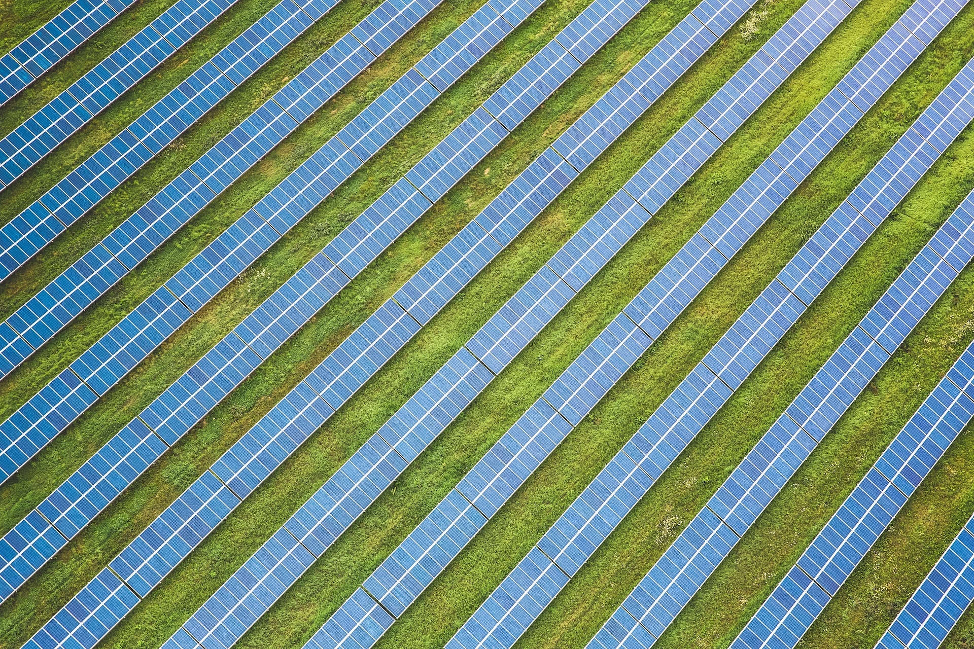 rows of solar panels and grass