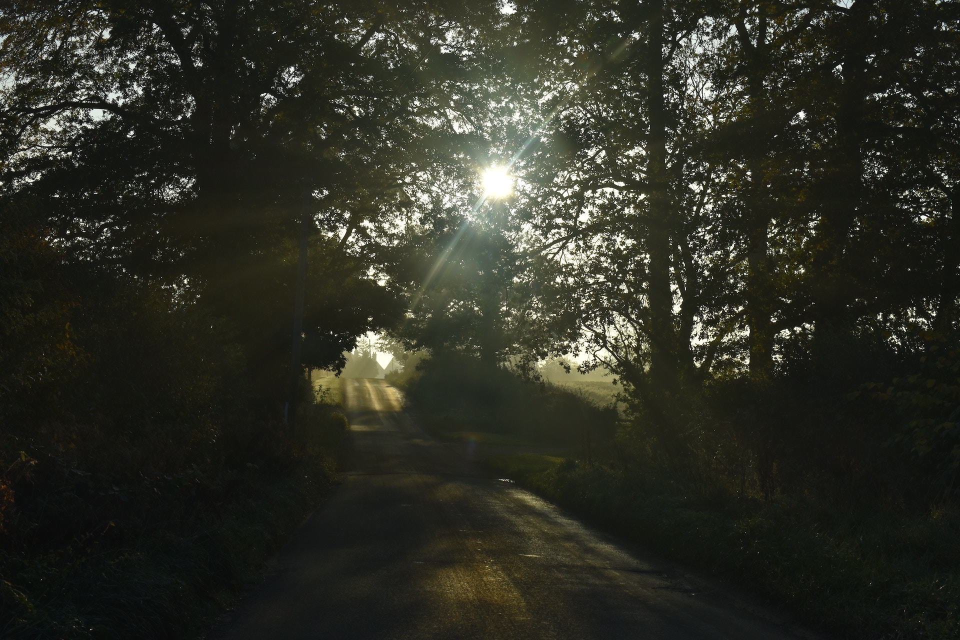 road with trees either side and sunlight peering through